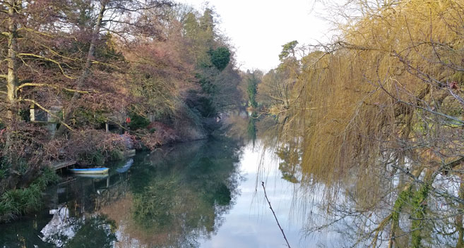 River Avon, Chippenham