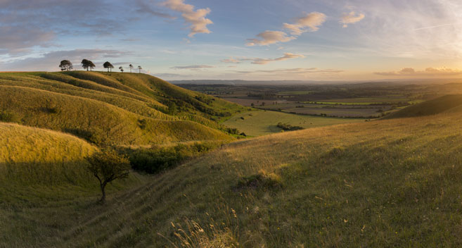 Roundway Down