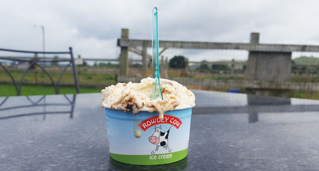 Rowdey Cow Ice Cream