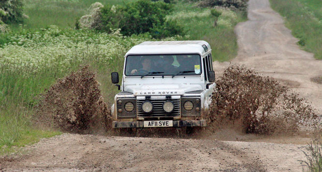 Salisbury Plain Safaris