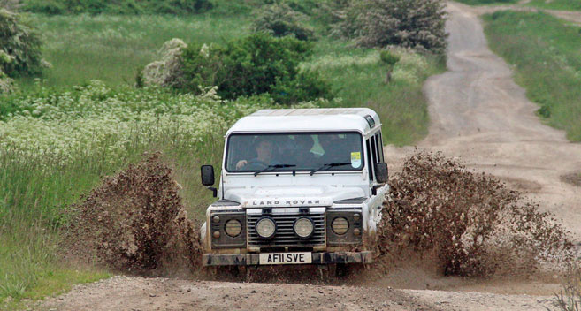 Salisbury Plain Safaris