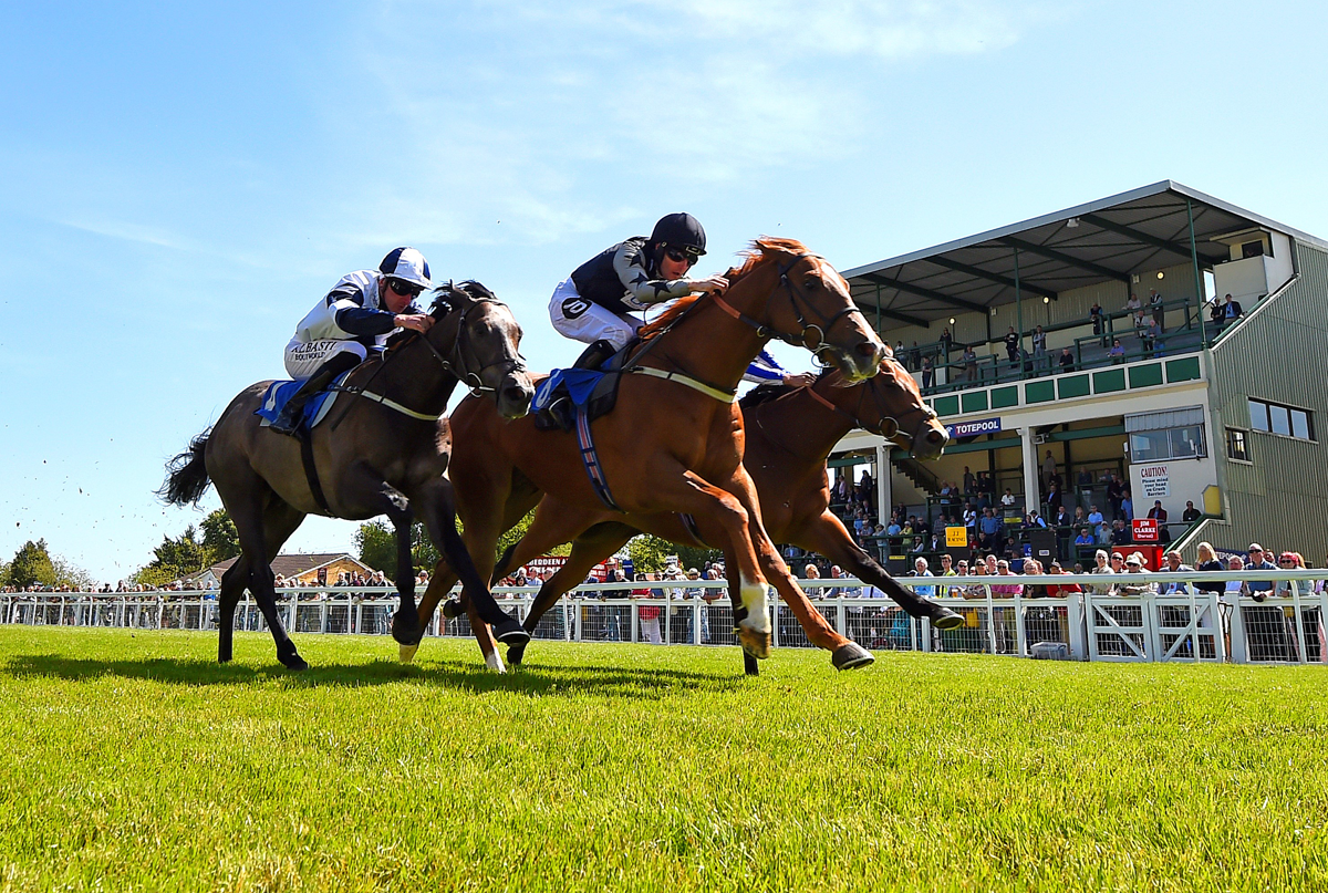 horses racing