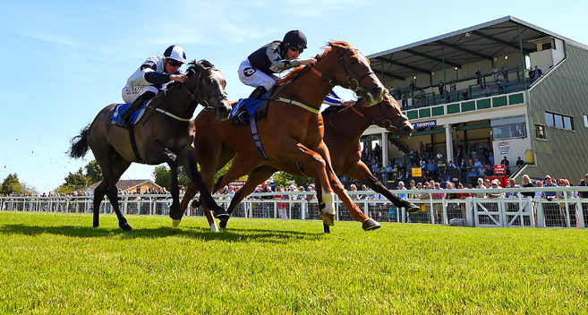 horse racers on racecourse