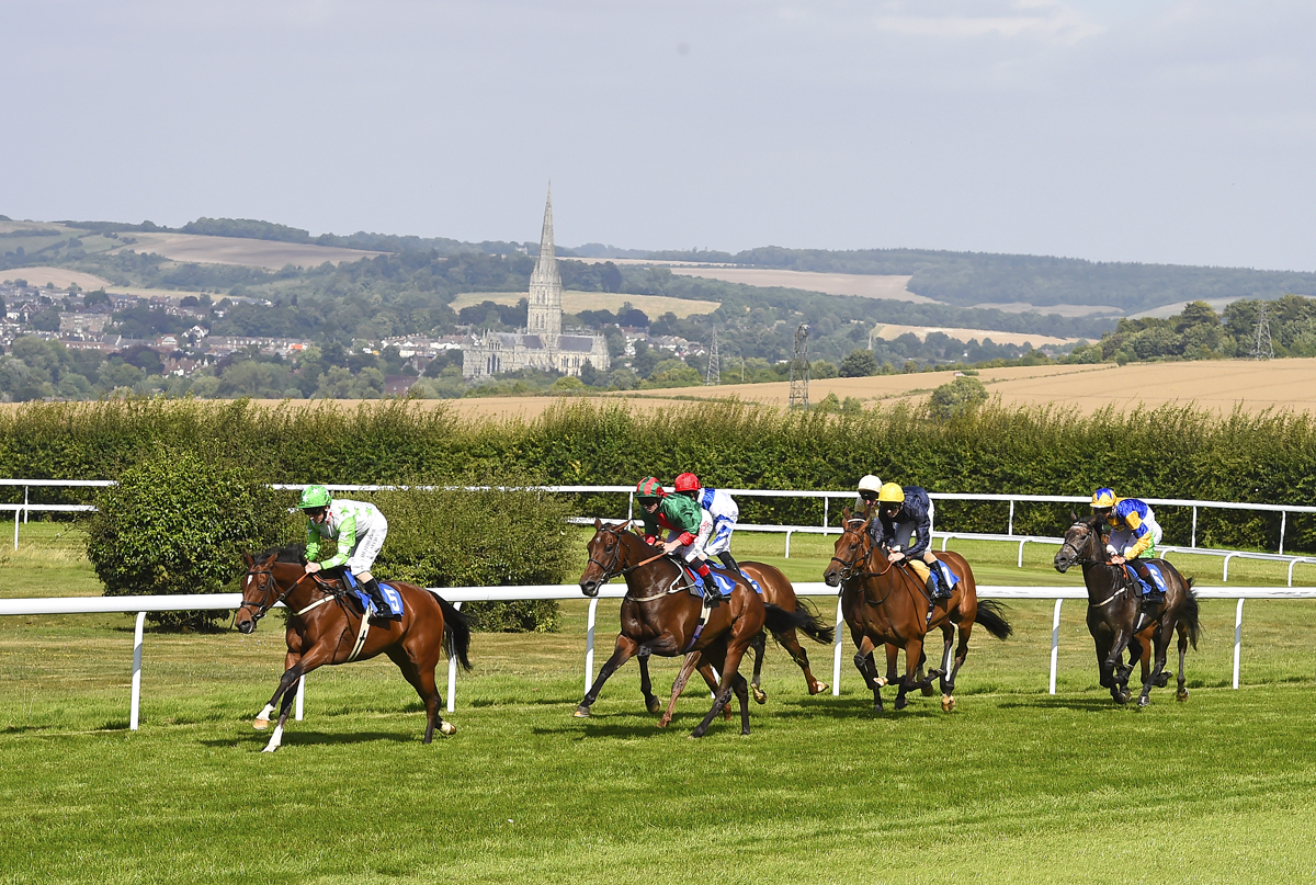 Horses racing with Salisbury Cathedral in background