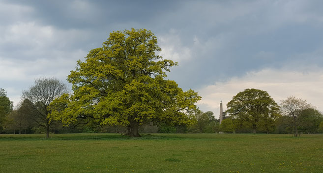 The Obelisk, Stourhead