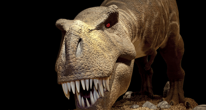 Longleat T. Rex: The Killer Question Predators Series