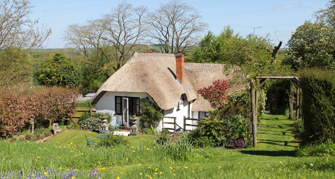 Thatched cottage