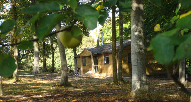 The Apple Wood