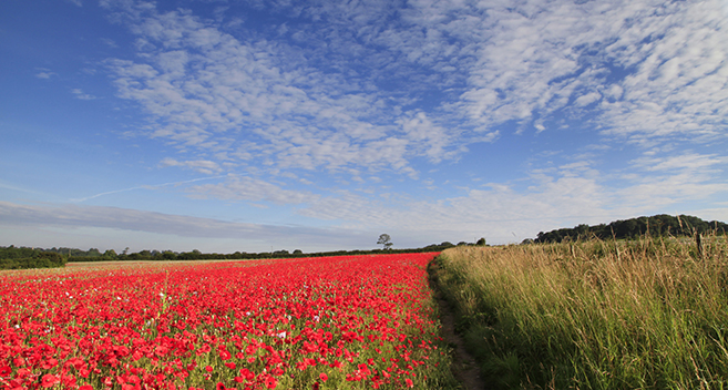 Tisbury