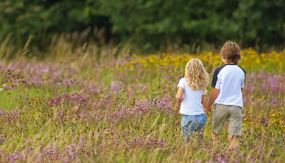 Children walking through grass and flowers