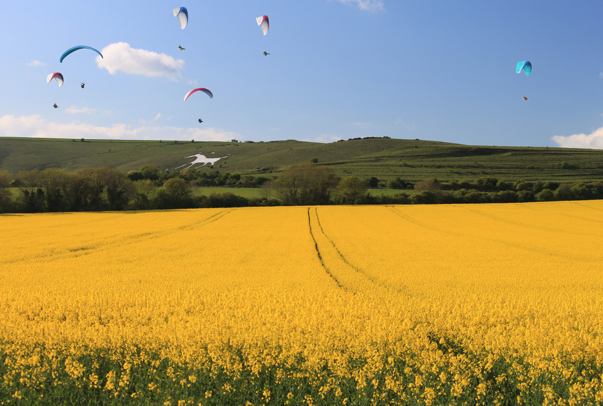 Hillside white horse in Wiltshire