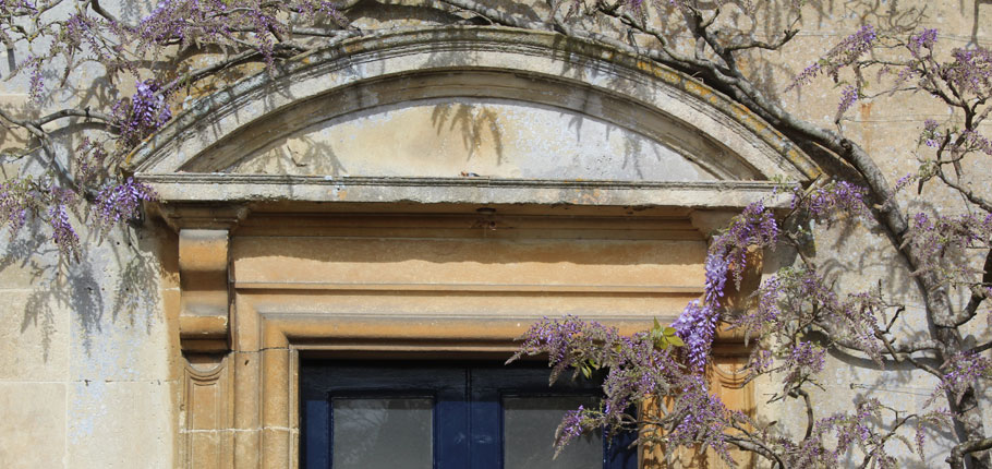 Wisteria, Iford Manor