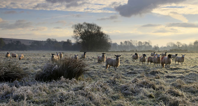 Wylye Valley, Wiltshire