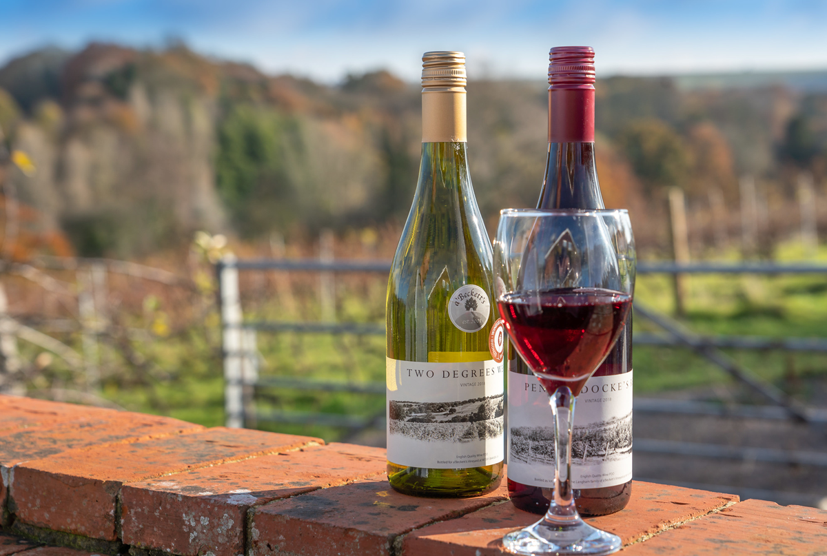 Two bottles of wine outside at a'Beckett's Vineyard
