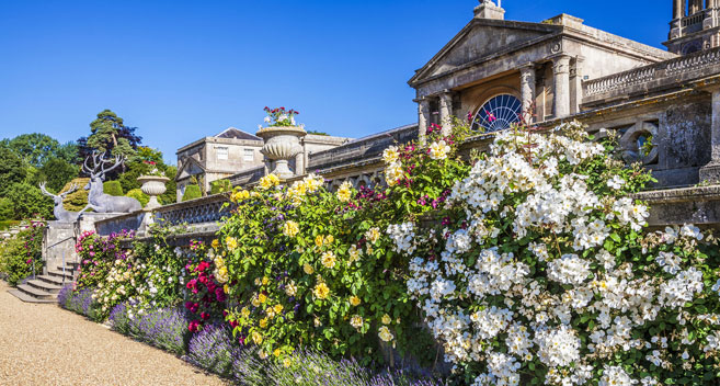 Bowood House and Garden 