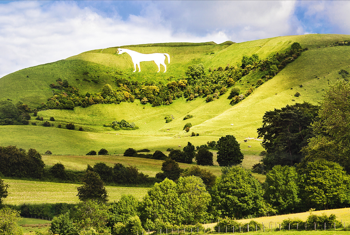 White horse figure carved on green hillside 