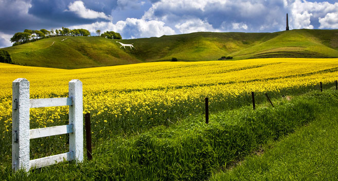 Cherhill White Horse near Calne