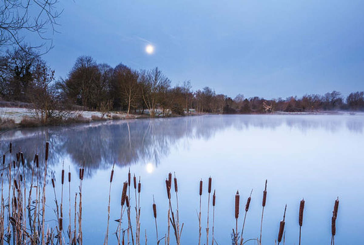 Lake in winter