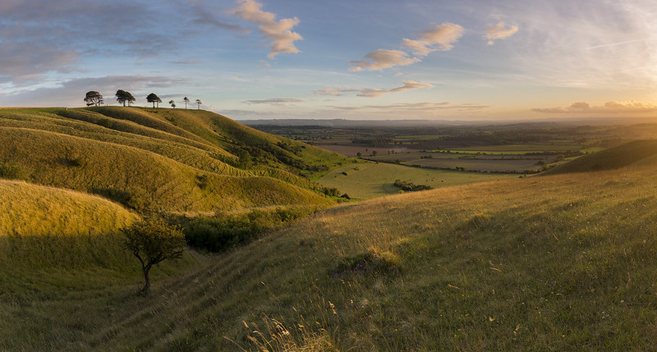 green rolling hills