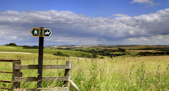 Wiltshire countryside