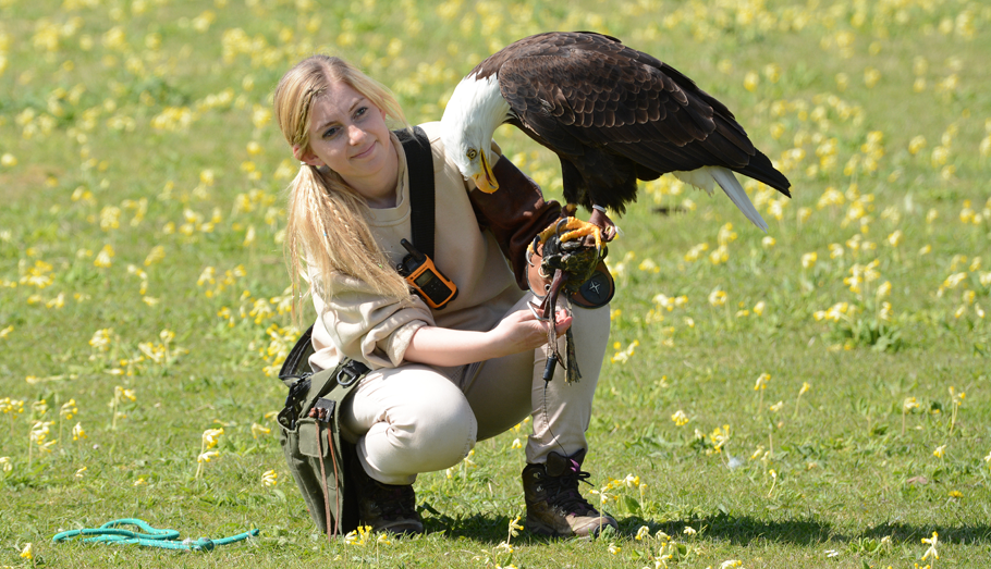 Woman with eagle