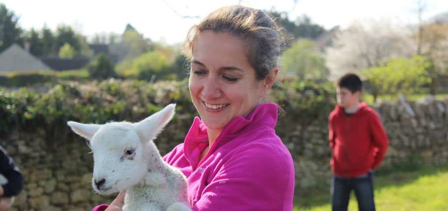 Holding a lamb