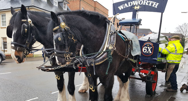 Wadworth Shire Horses