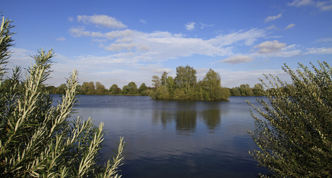 lake landscape under summer sky