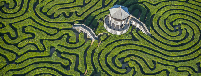 Hedge_maze_at_longleat