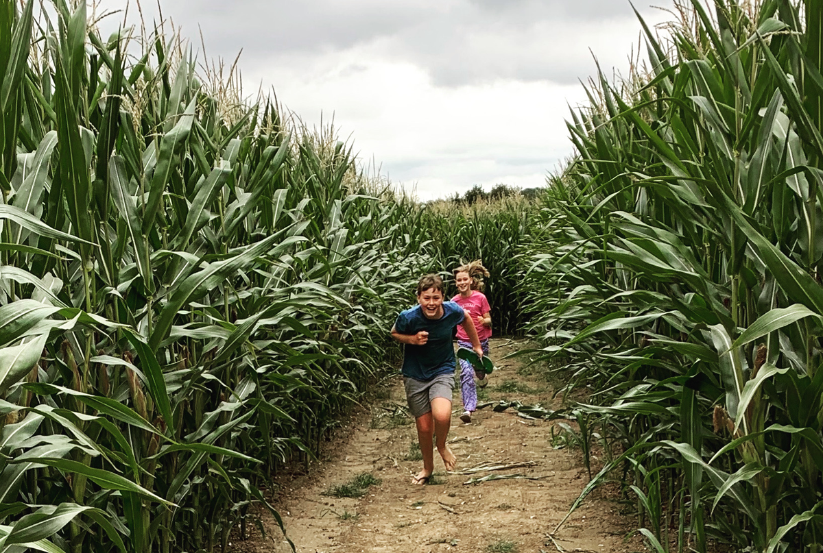 children running between maize plants