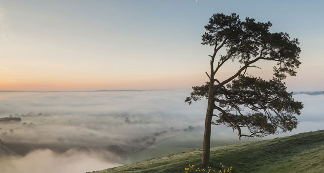 Martinsell Hill