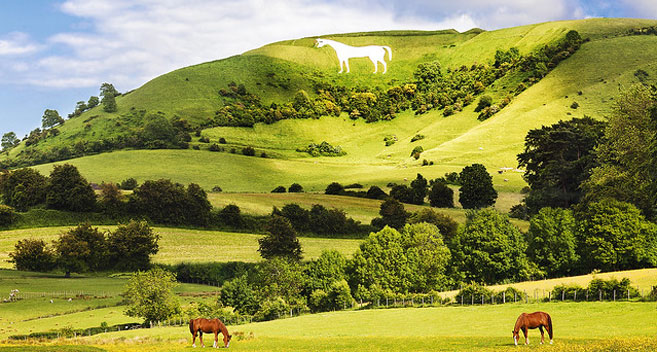 Rolling chalk hills in Wiltshire