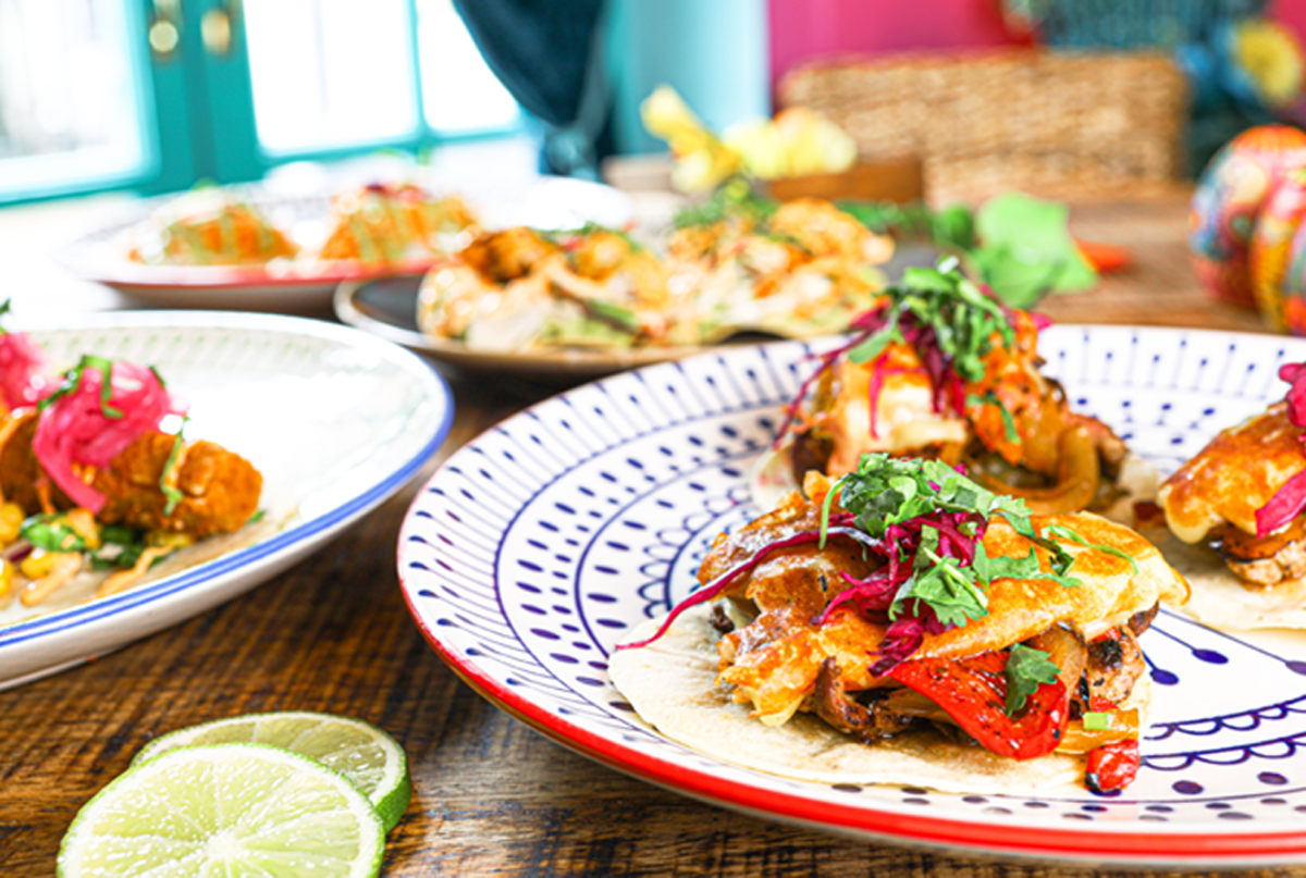 colourful plates of food