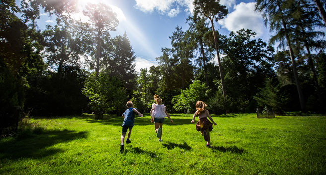 Summer holidays at Westonbirt Arboretum