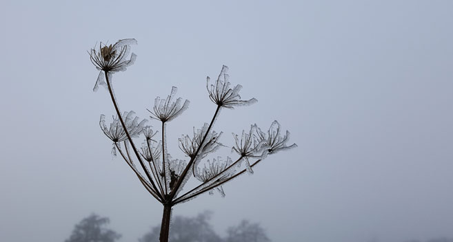 Winter in Tisbury