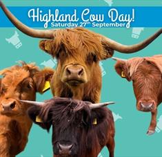 Highland Cow Day