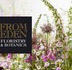 Summer Meadow Boxes