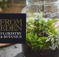 Make Your Own Terrarium