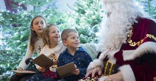 Santa's Little Wonderland