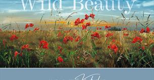 'Wild Beauty' Exhibition by Kimberley Harris. Meet the artist.