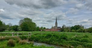 Sketch Salisbury Cathedral from water meadows