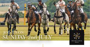 Druids Picnic Polo Series Balaclava Trophy
