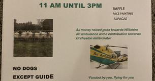 Sheep dog display, shearing and cake sale