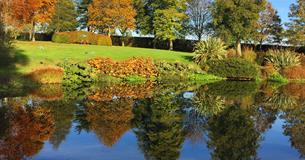 Garden Opening for NGS charities