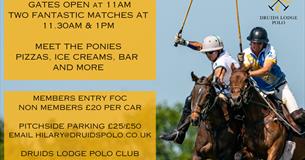 Picnic Polo Balaclava Trophy