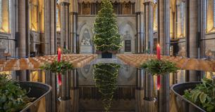 Christmas Tree inside Salisbury Cathedral