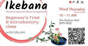 Christmas flowers in Japanese style - ikebana for complete beginners
