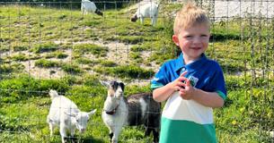 February Half-Term Fun on the Farm - 15th - 23rd February