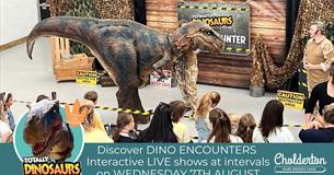 Transformers on the Farm!