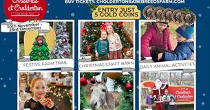 Christmas at Cholderton Rare Breeds Farm